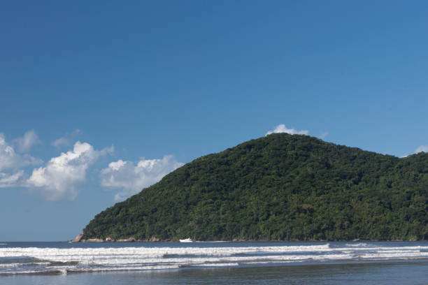 istock Bertioga Beach - Brazil 1330272952