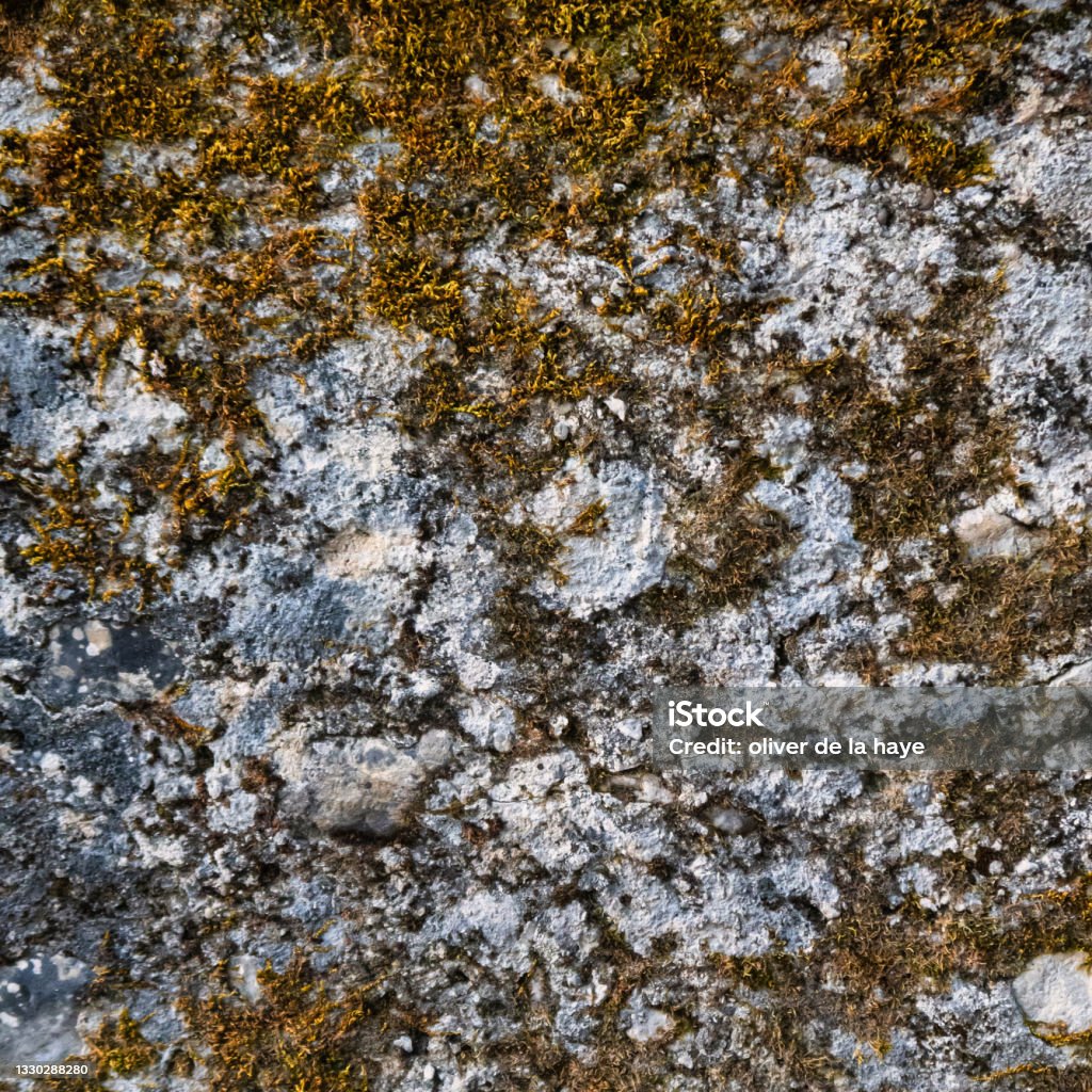 creepy cracks on medieval walls Talloires, France - September 08 2020 : creepy cracks, moss and linches on historic old errodated walls Abstract Stock Photo