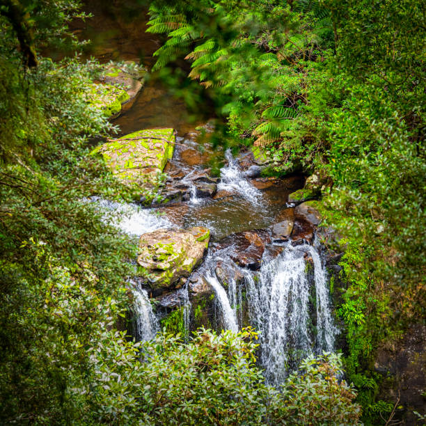 the hopetoun falls is a waterfall across the aire river that is located in the otways region of victoria - otway national park imagens e fotografias de stock