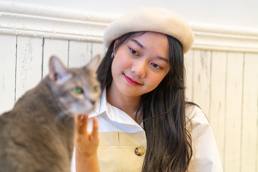 Young beautiful Asian woman sitting on floor playing and feeding pet treats to adorable cat with happiness. Friendly cute cat licking pet snack on the spoon from pretty girl. Pets and owner friendship concept