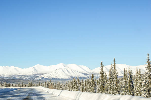 istock Winter Road and in Alaska 1330295534