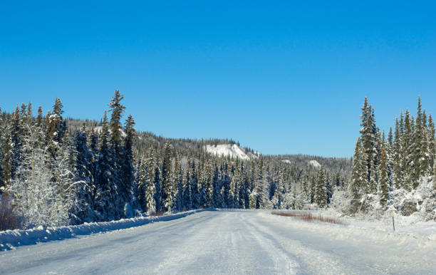 istock Winter Road and in Alaska 1330295538
