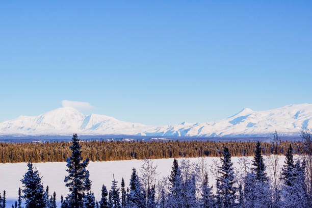 istock Snow Covered Mountains of Alaska 1330296226