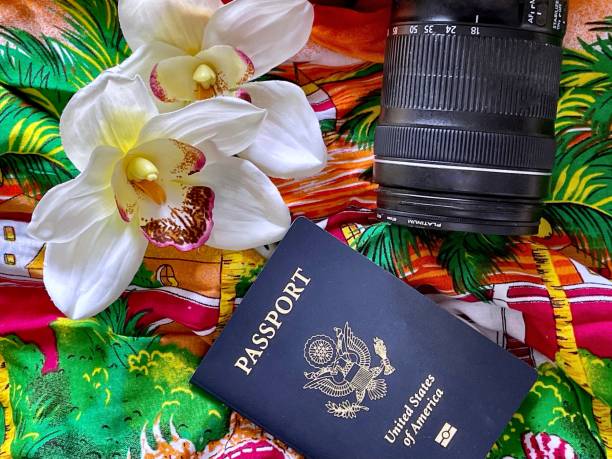 istock Tropical Vacation Vibes 1330296278