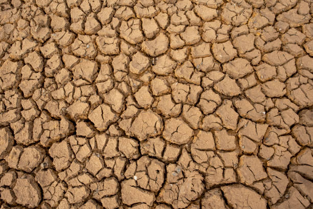 istock Marsh land with dry and cracked ground. Global warming background. 1330299355