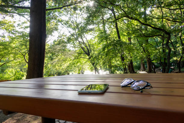 smart phone and glasses at the beautiful forest