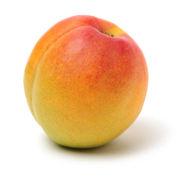 istock Fresh apricot fruits 1330302906
