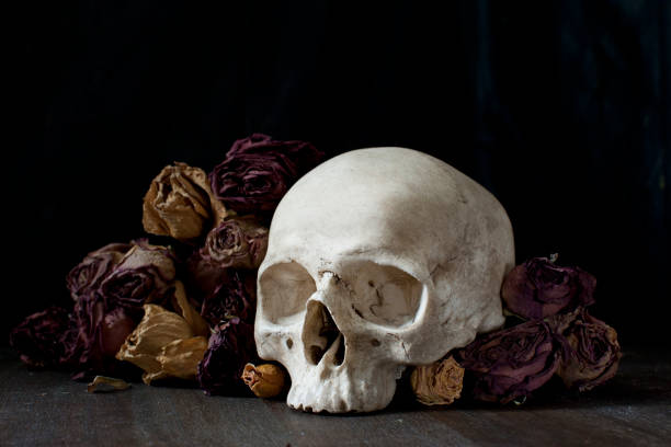 istock Dried florals and skull 1330305747