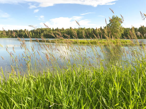 istock Kincaid Park Anchorage Alaska 1330306510