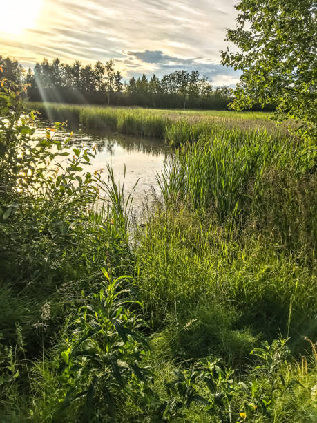 istock Kincaid Park Anchorage Alaska 1330306527