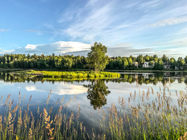 Kincaid Park offers tourists and locals alike a chance to interact with nature.  Kincaid Park is a easily accessible park within the city limits. The park winds it’s way down alongside the Cook Inlet. The path through the woods was very inviting.