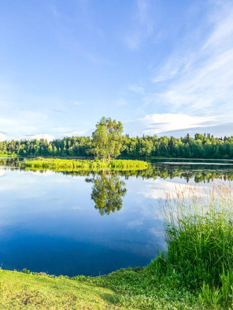 istock Kincaid Park Anchorage Alaska 1330306555