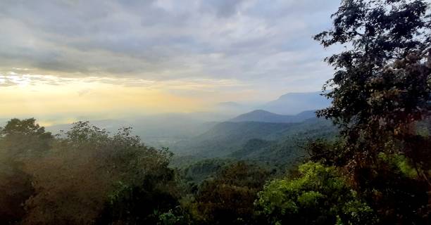 Yercaud Pictures | Download Free Images on Unsplash