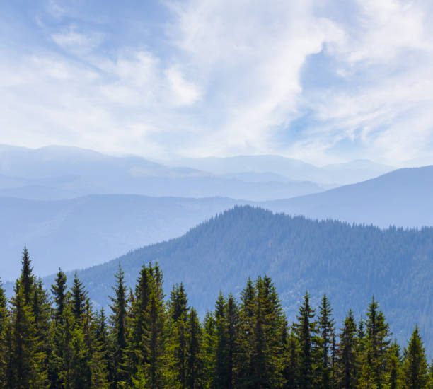 istock mountain chain silhouette in blue mist with pine forest, travel natural background 1330314549