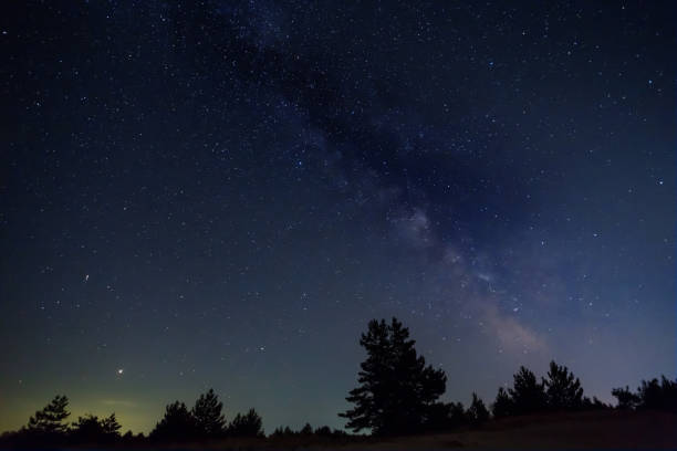 istock forest silhouette under starry sky with milky way, night  outdoor scene 1330314581