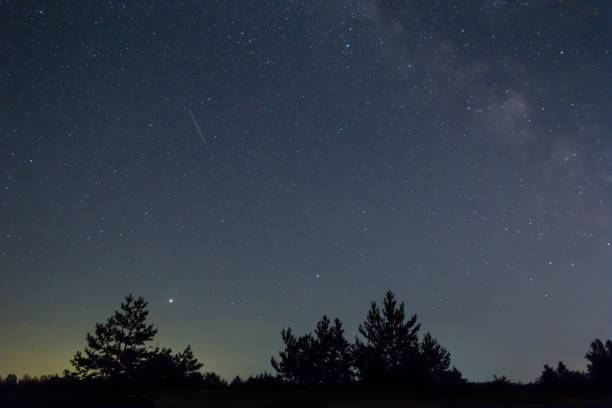 istock forest silhouette under starry sky with milky way, night outdoor scene 1330314656