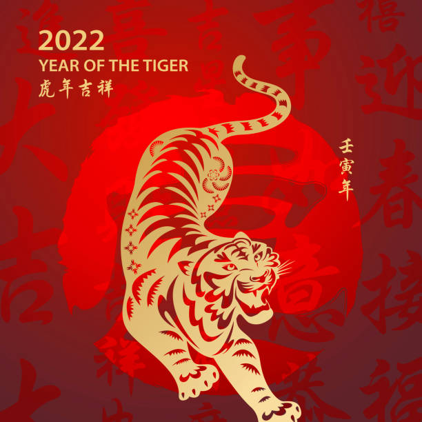 ilustraciones, imágenes clip art, dibujos animados e iconos de stock de año dorado del tigre - escritura china