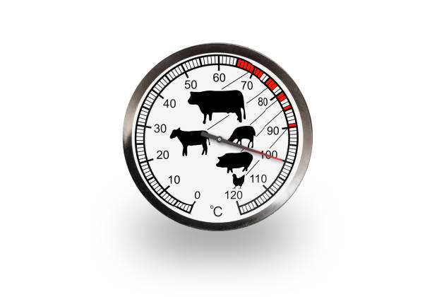 istock Food thermometer isolated on a white background with soft shadow. The thermometer shows 100 degrees 1330318920