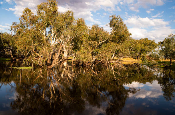 istock Billabong on Urangeline Creek Urana NSW 1330319622