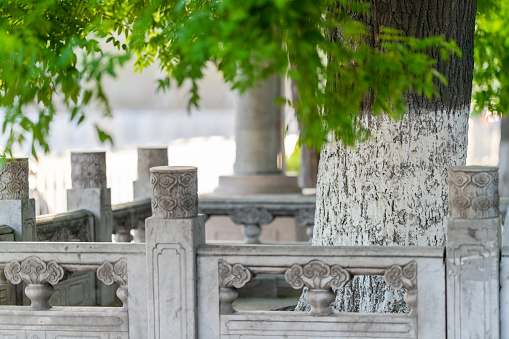 Beijing park background