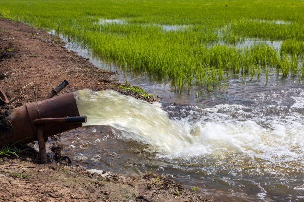 Asia Rice Water 40+ Water Pump Old Asia Rice Paddy Stock Photos, Pictures & Royalty ...