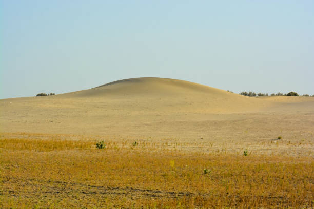 Sand dunes in the Thar desert Golden sand dunes in the Thar desert thar desert stock pictures, royalty-free photos & images