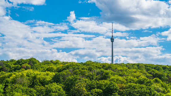 Germany, Stuttgart television tower building surrounded by endless green trees of forest on sunny day, aerial panorama drone view above the tree tops