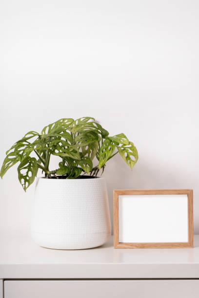 istock empty photo frame and plant in a pot mock up 1330335002