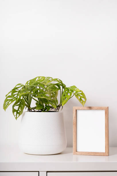 istock empty photo frame and plant in a pot mock up 1330335019