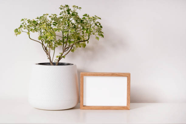 istock empty photo frame and plant in a pot mock up 1330335619