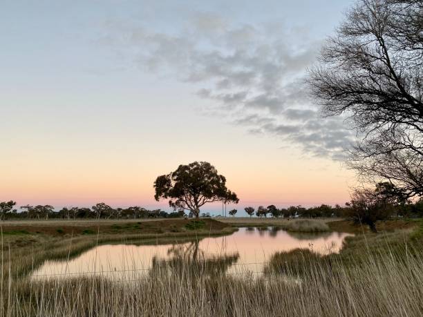 paysage de la nouvelle-angleterre - nsw, australie - farm winter field fence photos et images de collection