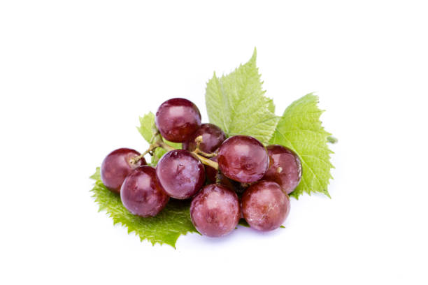 istock Bunches of grapes on white background 1330338934