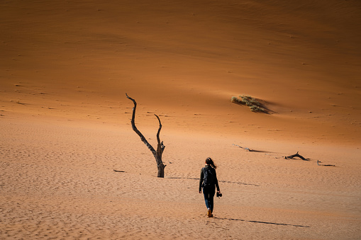 Traveler hiking on dunes in the Namib Desert near Deadvlei, Namib-Naukluft National Park, Namibia, Africa.