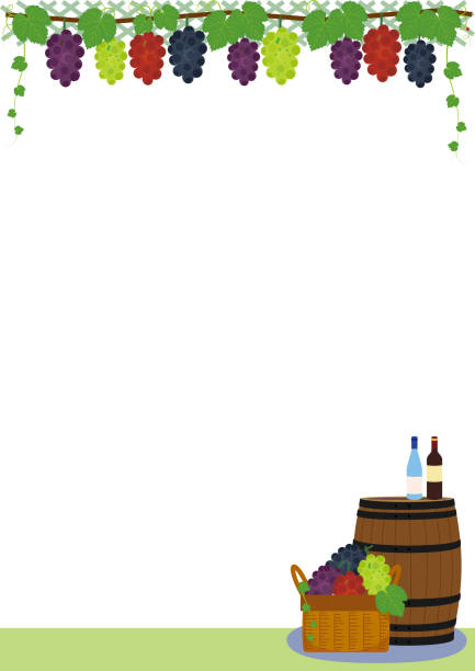 ilustraciones, imágenes clip art, dibujos animados e iconos de stock de enrejado de vid, barril de vino, botella, fondo de la cesta de la cosecha - japanese maple maple tree leaf backgrounds