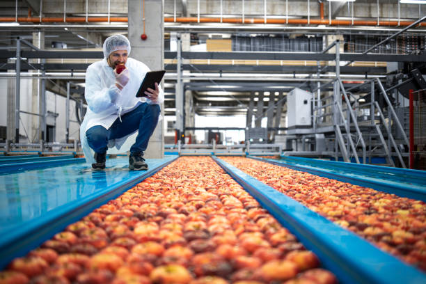 istock Technologist in food processing factory checking apple fruit sweetness and quality. 1330346535