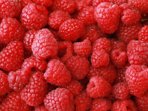 istock Fresh and sweet raspberries background 1330353411