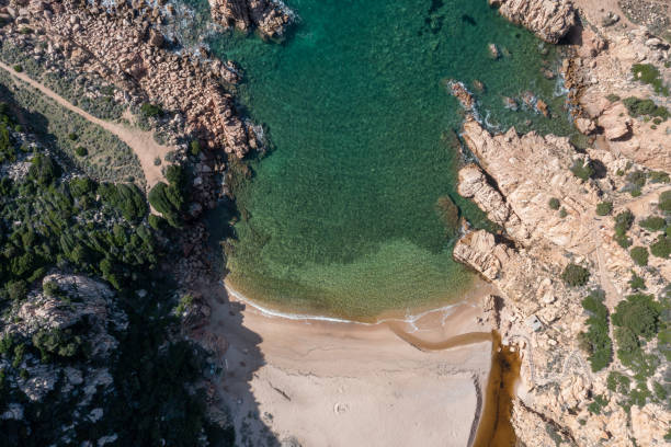 istock Drone top view of idyllic beach 1330354390