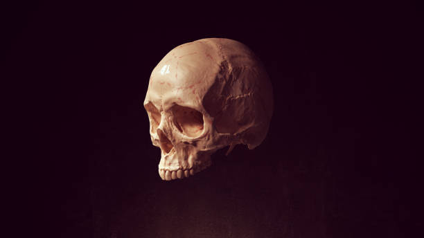 istock Skull Head Dead Bone Skeleton Anatomy Halloween 3d illustration render 1330358923