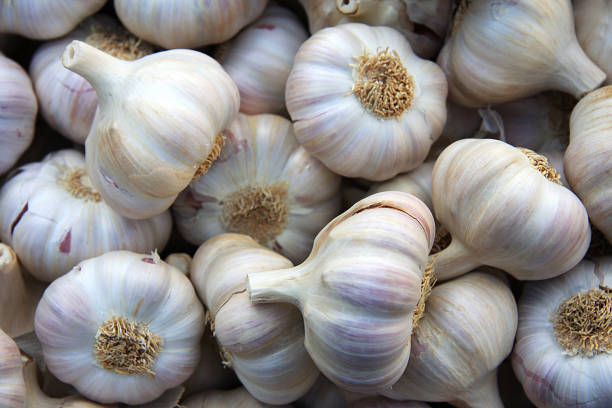 Garlic background A background of bulbs of fresh garlic for sale at a market garlic stock pictures, royalty-free photos & images
