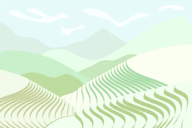 Vector illustration of Rice field poster. Chinese agricultural terraces in mountain landscape. Foggy rural farmland scenery with green paddy. Terraced farmer cultivation plantation. Asian agriculture horizontal background