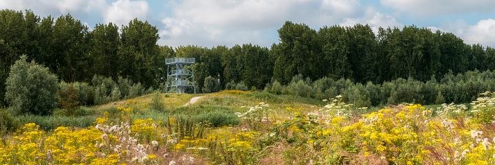 Watchtower in a summer landscape with yellow flowers, Klauterwoud, Vlaardingen