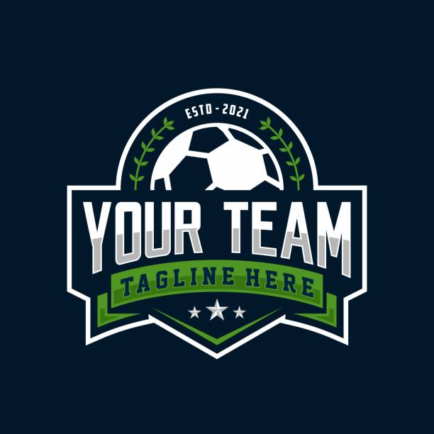 современный профессиональный футбольный шаблон иконки иконки для футбольного клуба - логотип stock illustrations