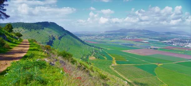 istock Wild View of Mountain Gilboa at Springtime, Israel 1330372138
