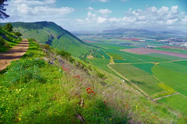 istock Wild View of Mountain Gilboa at Springtime, Israel 1330372140