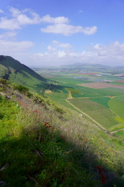 istock Wild View of Mountain Gilboa at Springtime, Israel 1330372146