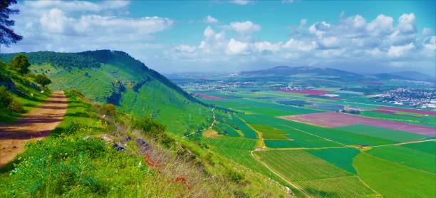 istock Wild View of Mountain Gilboa at Springtime, Israel 1330372150
