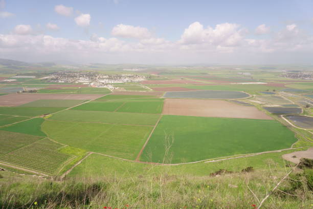 istock Wild View of Mountain Gilboa at Springtime, Israel 1330372164