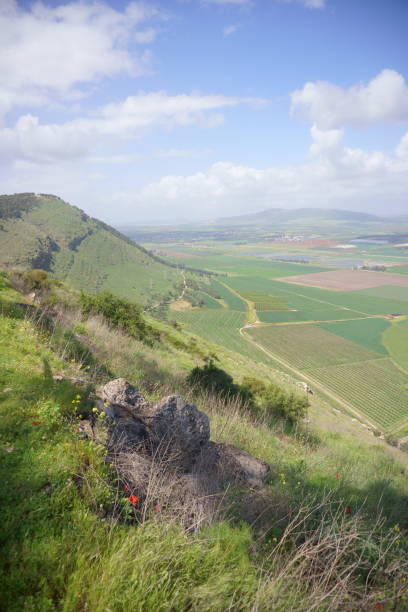 istock Wild View of Mountain Gilboa at Springtime, Israel 1330372187