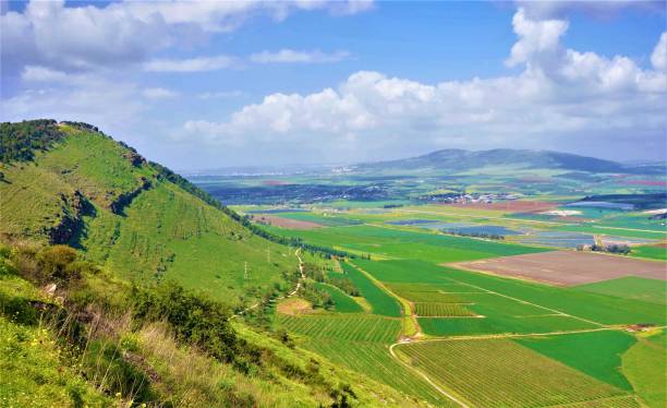 istock Wild View of Mountain Gilboa at Springtime, Israel 1330372216