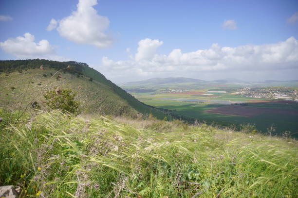 istock Marvellous View From Gilboa Mountain at Springtime, Israel 1330375183